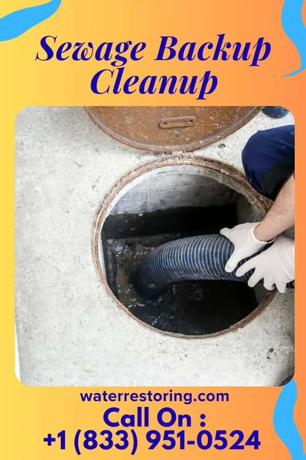 Sewage Backup Cleanup in Messiah College, PA